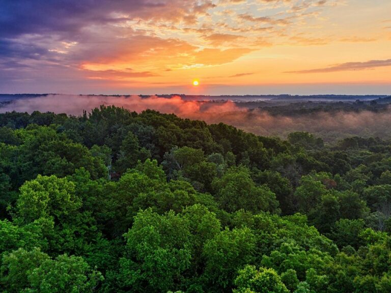 Saúde e Biodiversidade